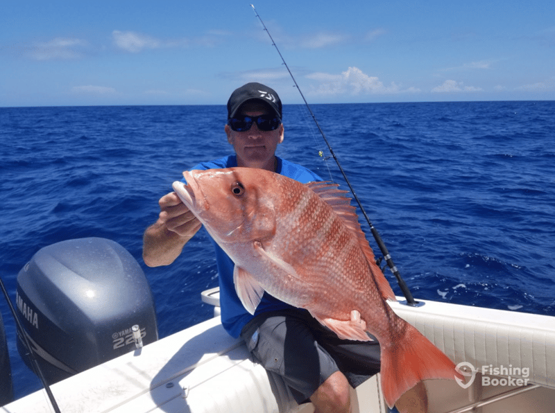 Book a trip with Outlaw Gunner Charters now and come catch some Red Snapper