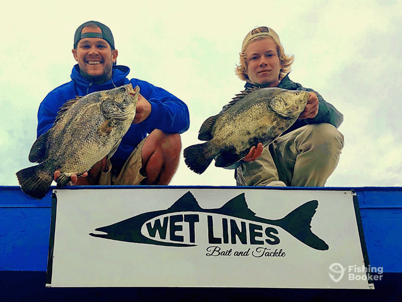 Catches can include Blackdrum, Cobia, Gag Grouper, Jack Crevalle, Ladyfish, Redfish, Blacktip Shark, Sheepshead, Mangrove Snapper, Snook, Spanish Mackerl, Tripletail, and more