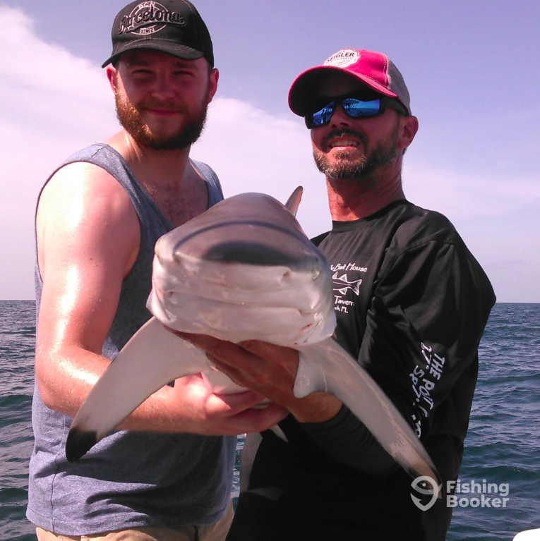 Come out on the water and catch some Blacktip Shark with Bait House Charters.
