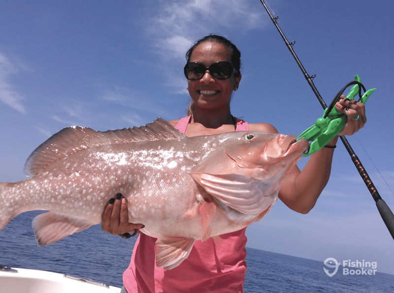 Come catch some Red Grouper with Captain Brad