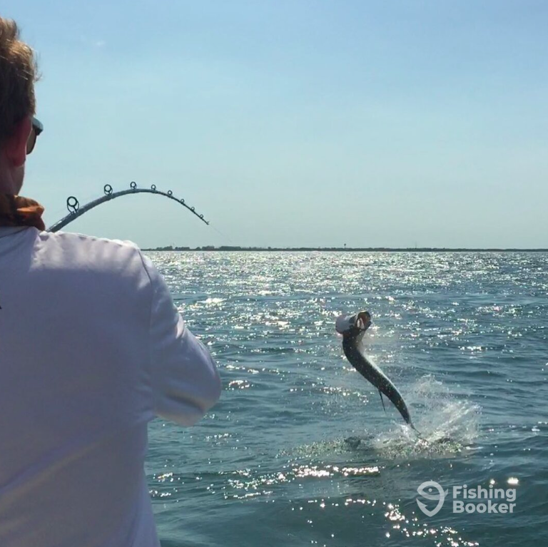 Coastal Chaos Fishing Charters