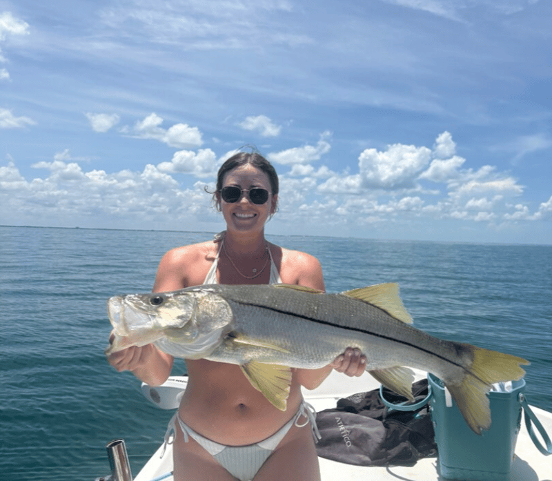Many different species to see and catch