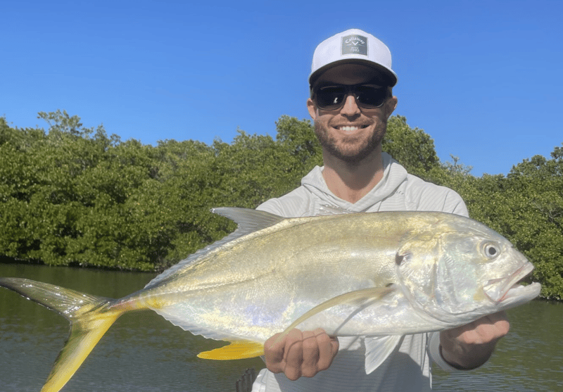Many various species to catch