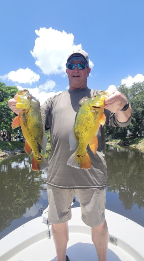 Wide variety of species to catch