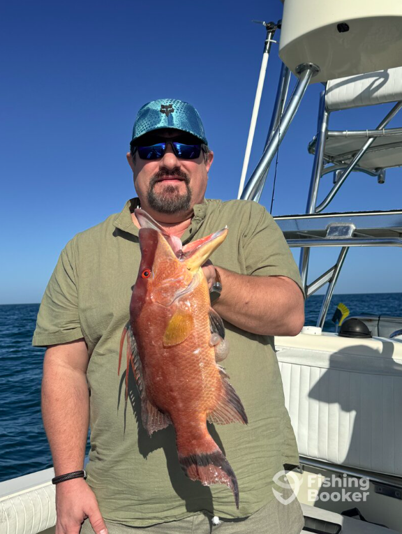 Come catch some Hogfish with Island Time Family Charters