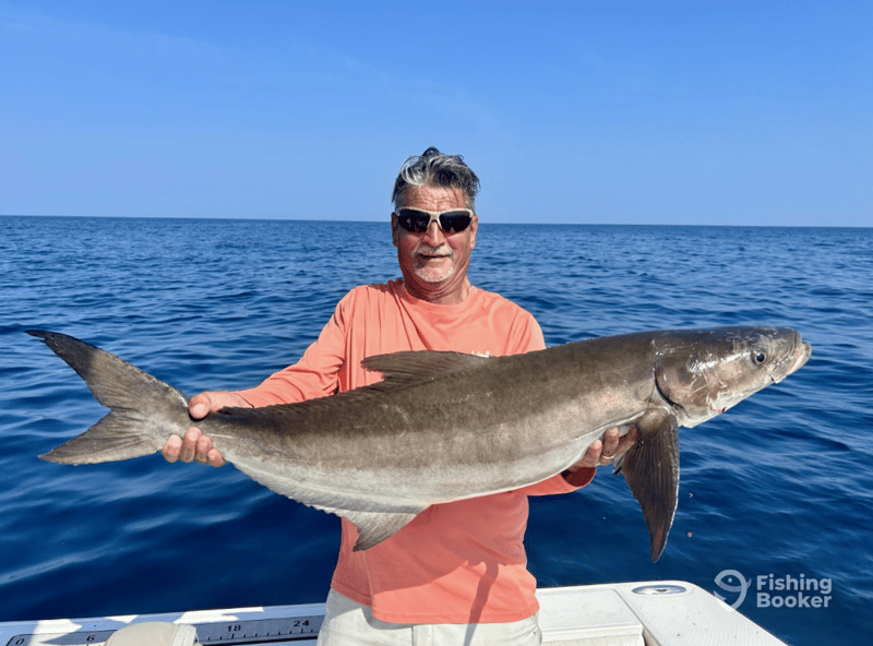 Baileys Charters