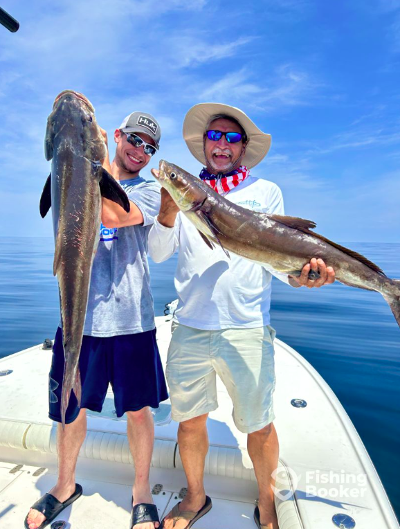 Catches can include Amberjack, Cobia, Gag Grouper, Red Grouper, Kingfish, Redfish, Sheepshead, Mangrove Snapper, Snook, Spanish Mackerel, Speckled Trout, and more.