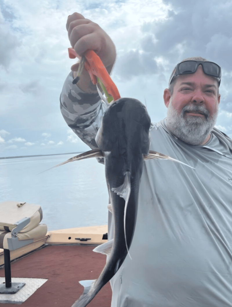 Wide variety of species to catch