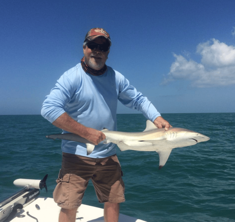 Many various species to catch
