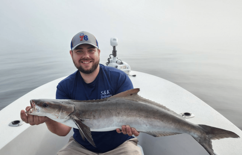 Many various species to catch