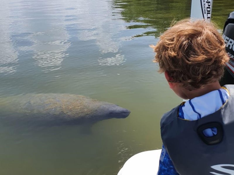Admire the native wildlife with Make A Wake