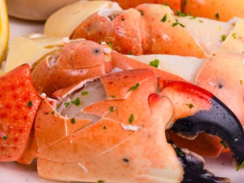 Stone crab from Little Bar Restaurant in Marco Island, Florida