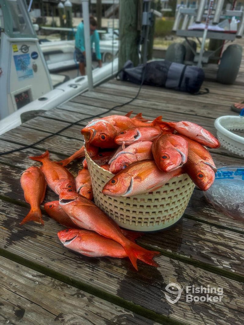 Another one for the cooler. Gulf Coast doesnt disappoint