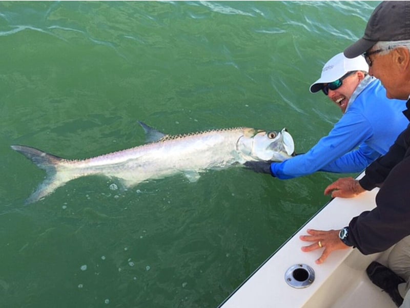 1386627 Fish The Salt Guide Service In Marco Island, Florida