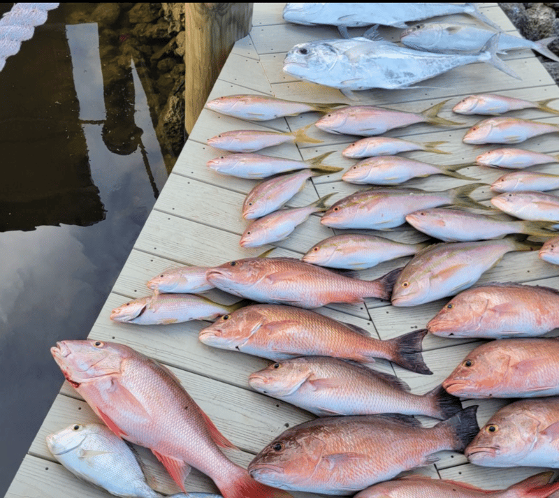 Great haul from time with Capt. Mike