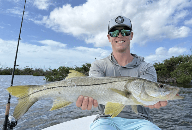 Many various species to catch