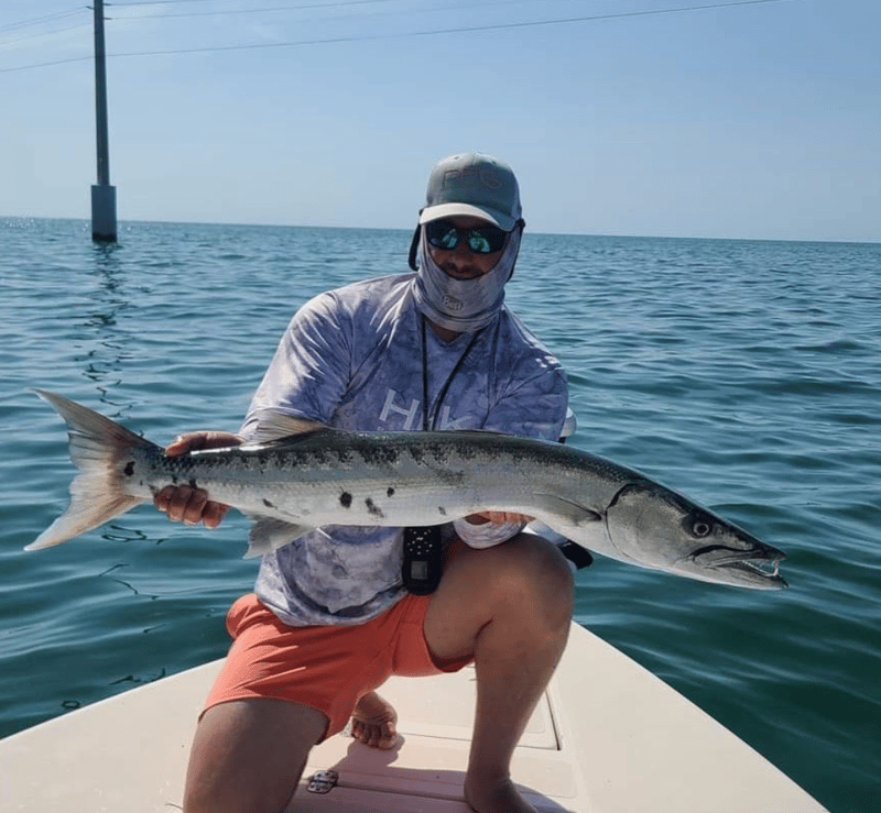 Many various species to catch