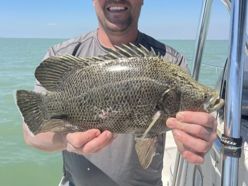 An angler with his fish off the coast of Marco Island