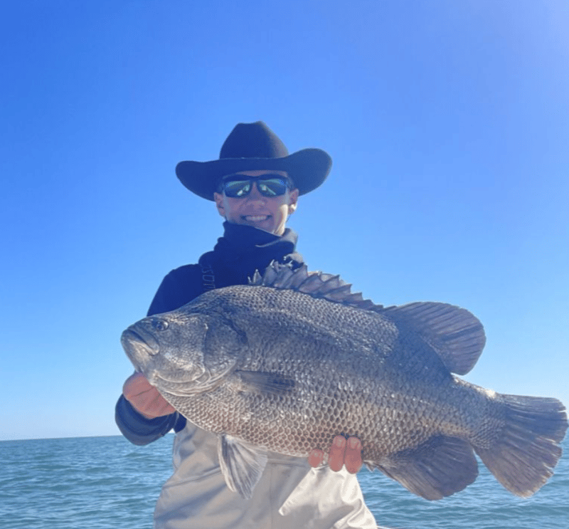 Many various species to catch