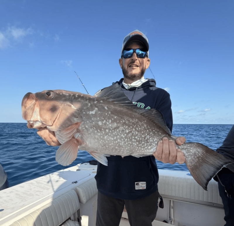 So many great species to catch