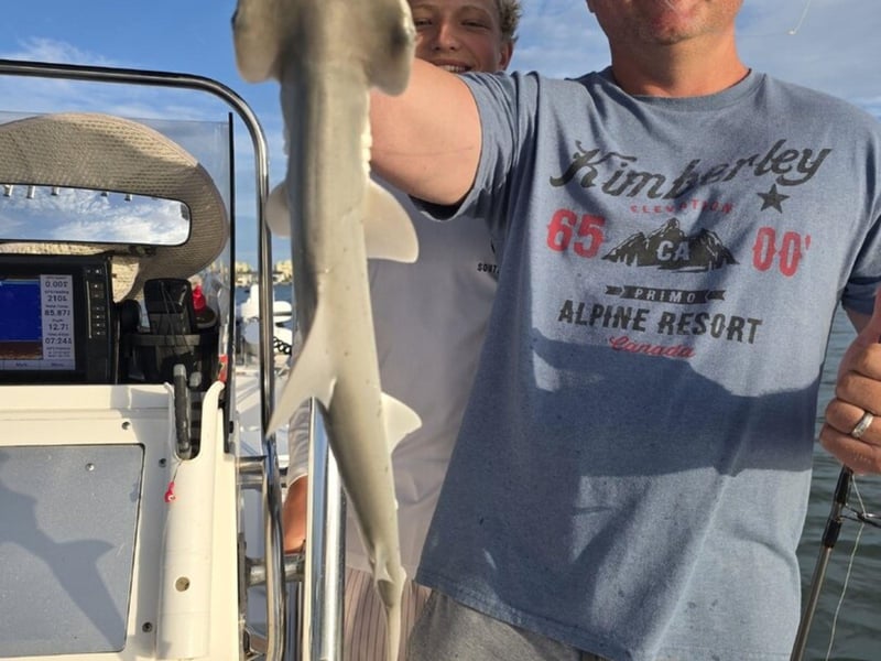 A small hammerhead caught with Captain Rio Adventures