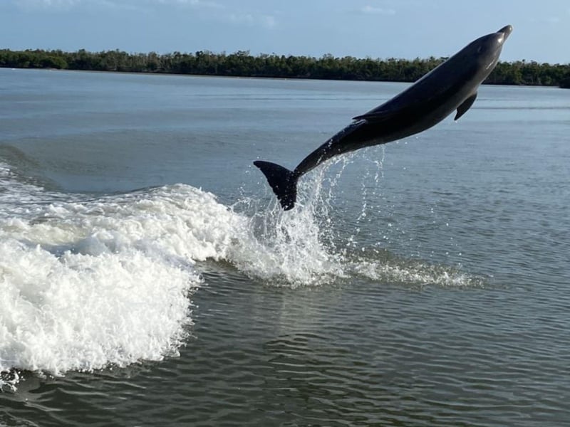 Explore the backwaters with this Marco Island Charter
