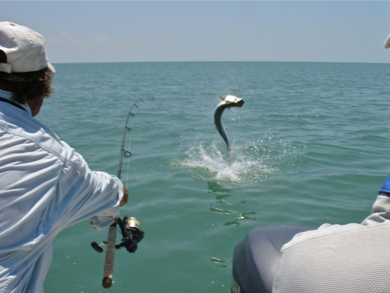 A fishing charter with Bimini Twist