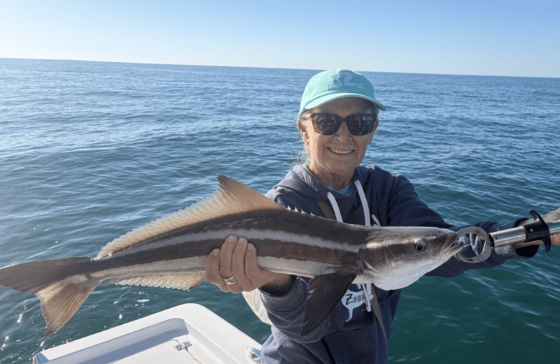 Wide variety of species to catch