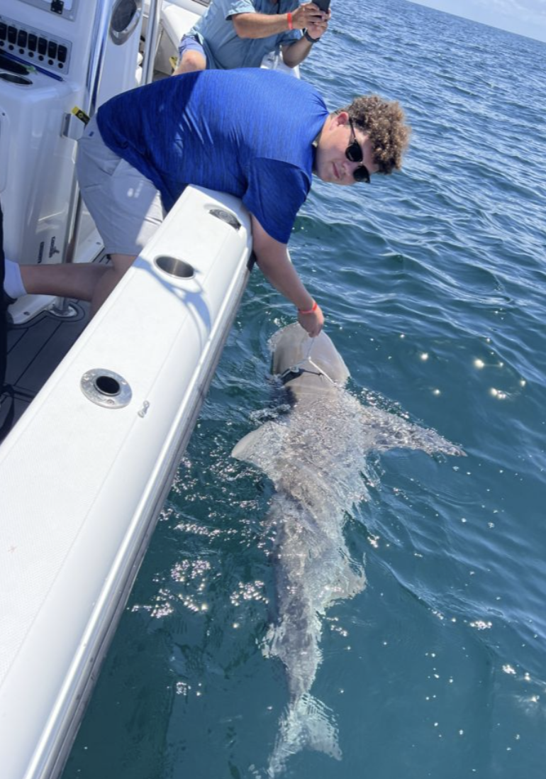 Many various species to catch