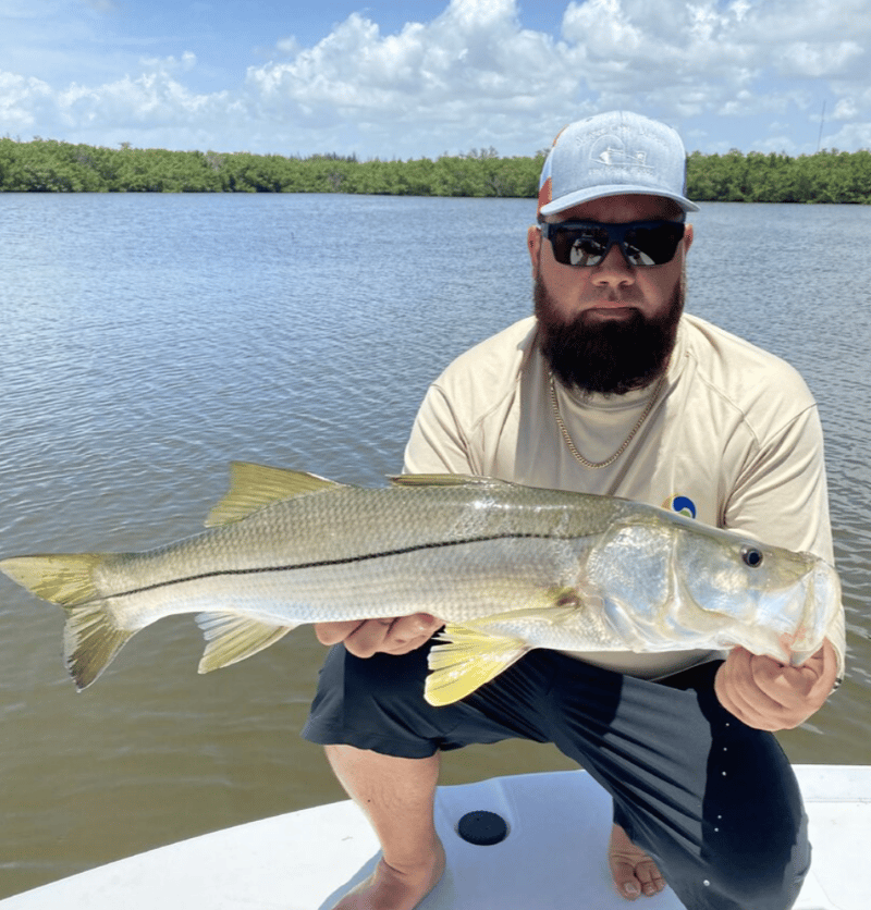 Many various species to catch