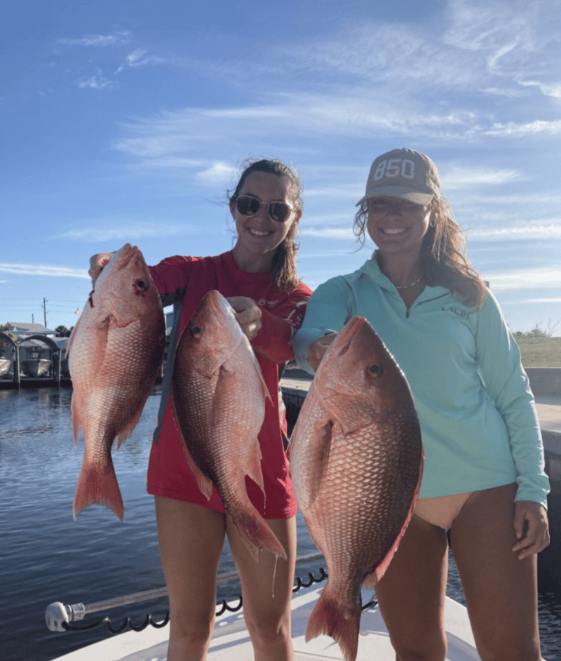 Another one for the books in Port St. Joe