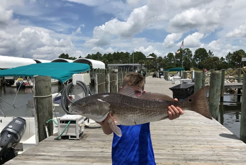 1390121 A Fresh Catch Off The Intracoastal