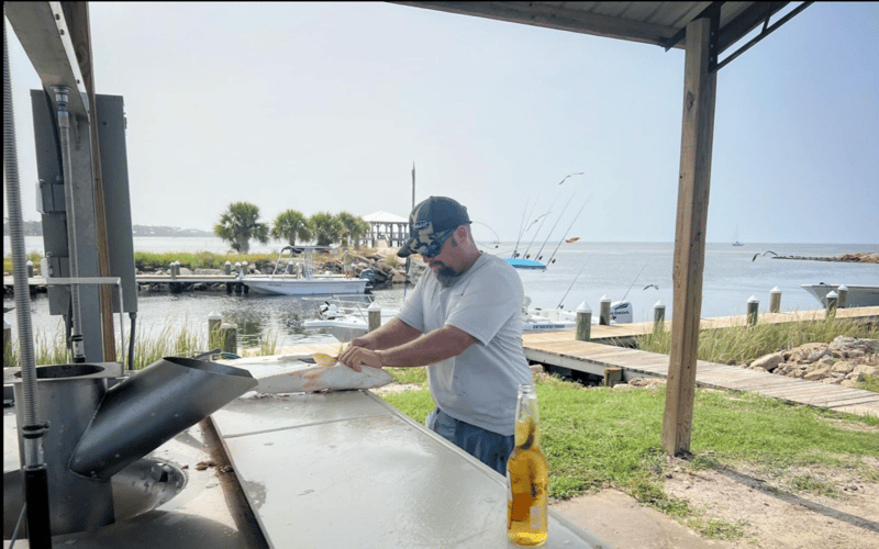 A day chasing the bite