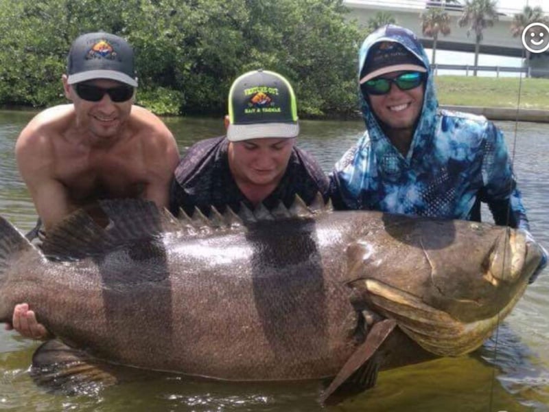 A group with their goliath grouper