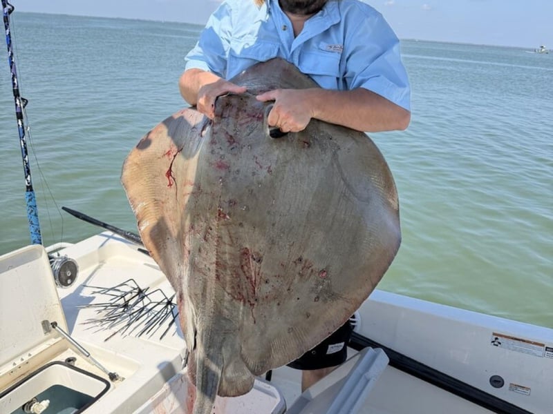 A stingray caught with Maxed Out Charters 2