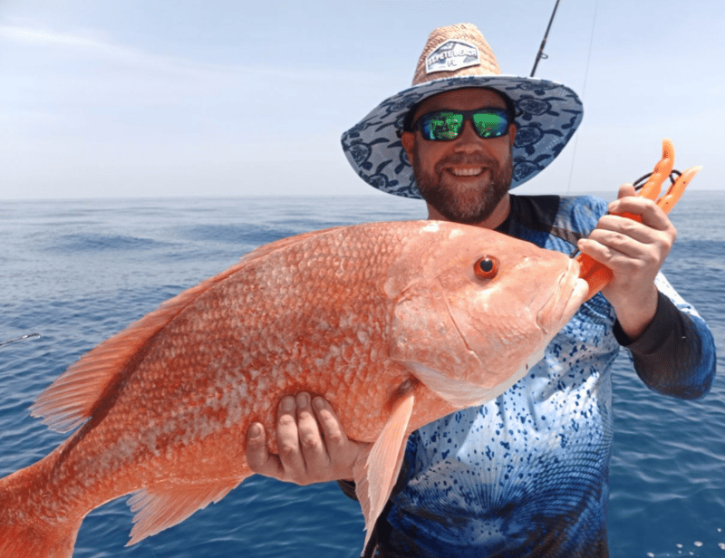 Many various species to catch