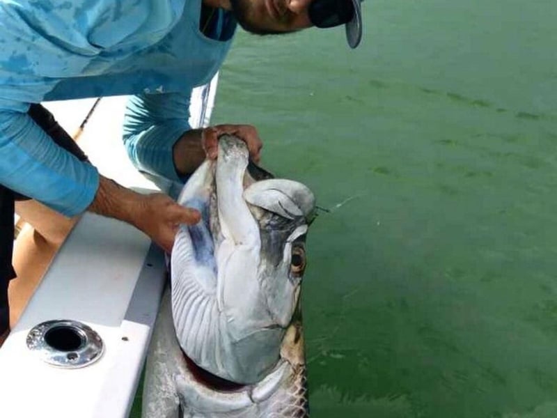 An angler fishing off the side of the boat