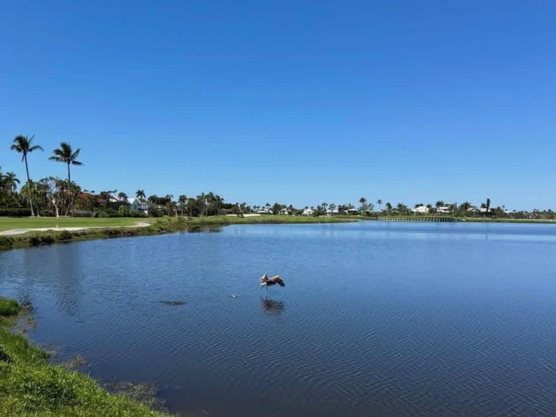 The Dunes Golf and Tennis Club in Sanibel, Florida