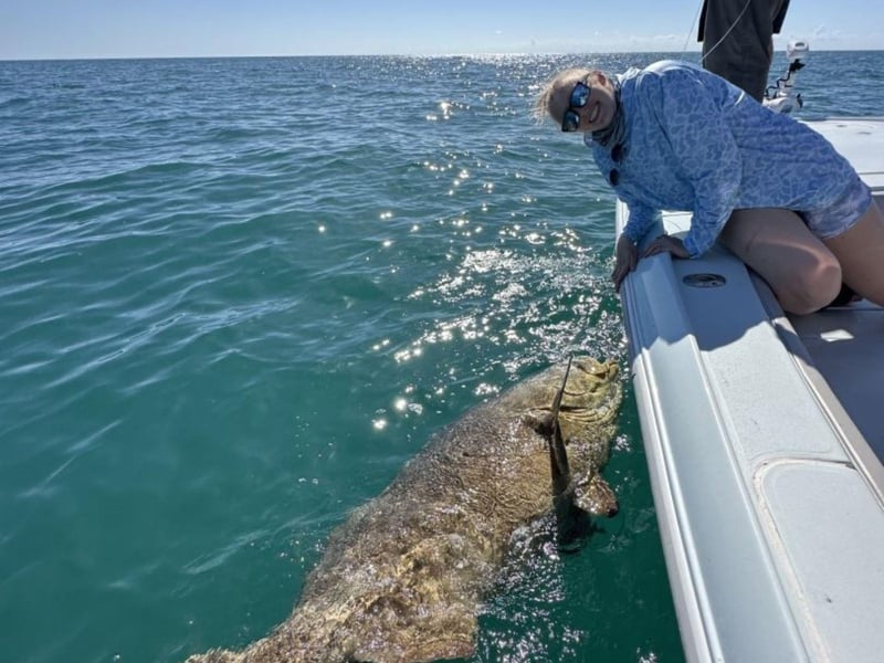 A guest catching a Goliath Grouper