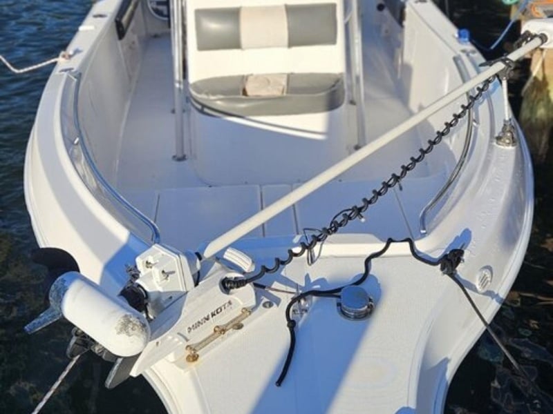 The 26 Cobia Center Console