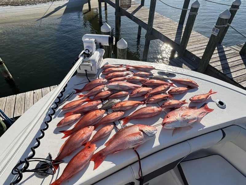 Red Snapper caught with Salty Adventures II