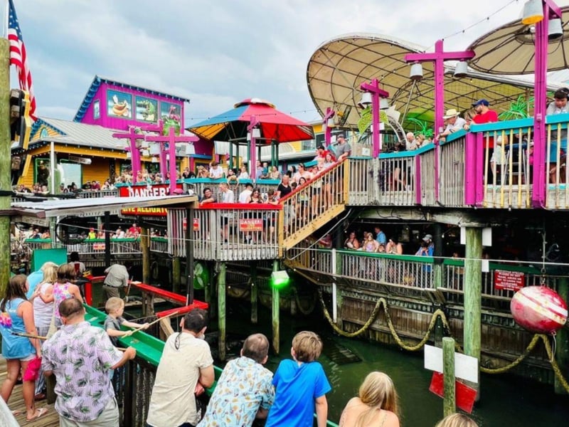 The alligators at Fudpuckers Beachside Bar and Grill