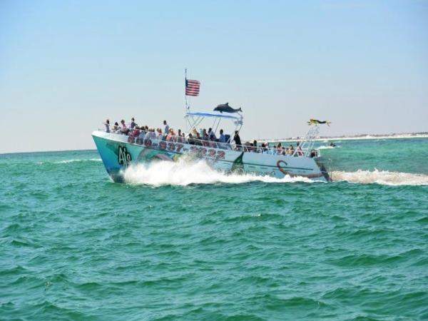 Enjoy dolphin, sunset, snorkeling, and firework cruises aboard this boat