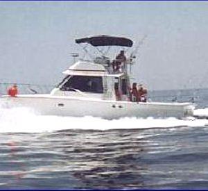 425464