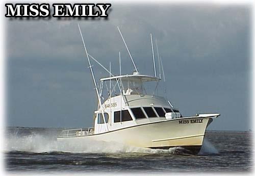 425473 Missemily