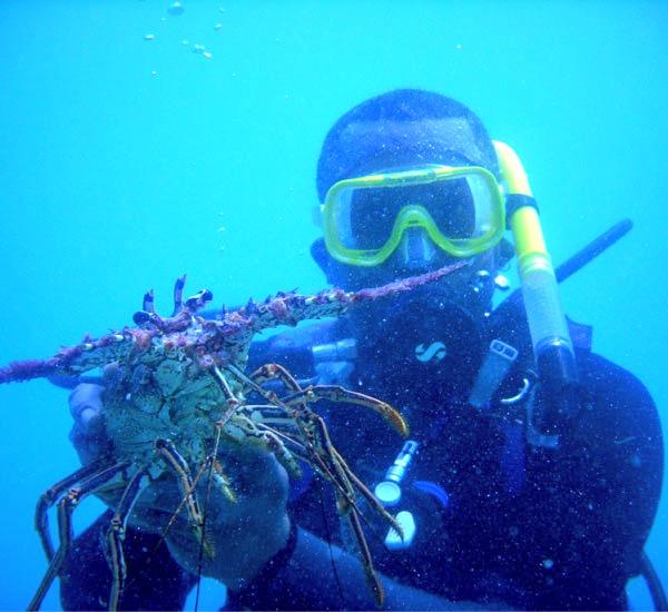 Scuba diving with Dive Key West Inc. in Key West Florida