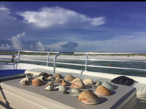 Shell Island