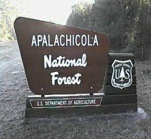426251
