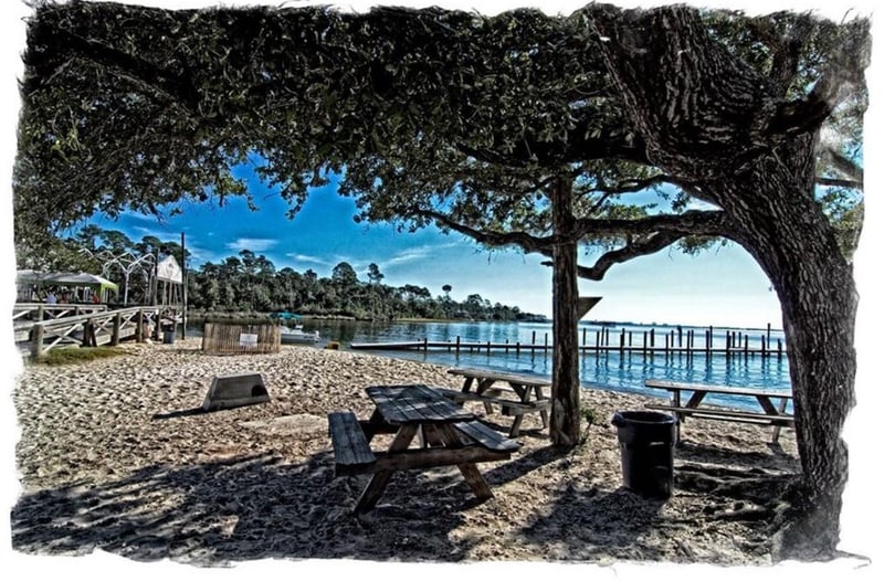 Pirates Cove Riffraff  Its not just for food and drinks  Its an experience