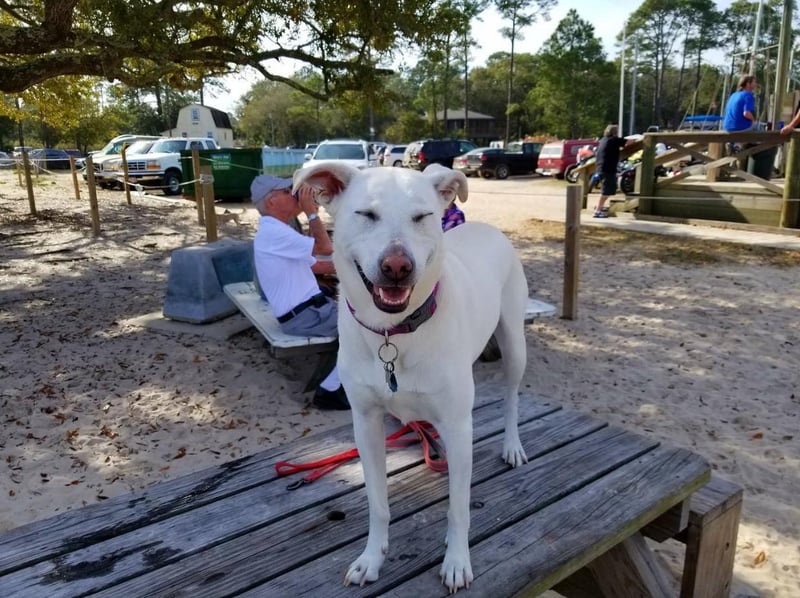Everyone is happy at Pirates Cove